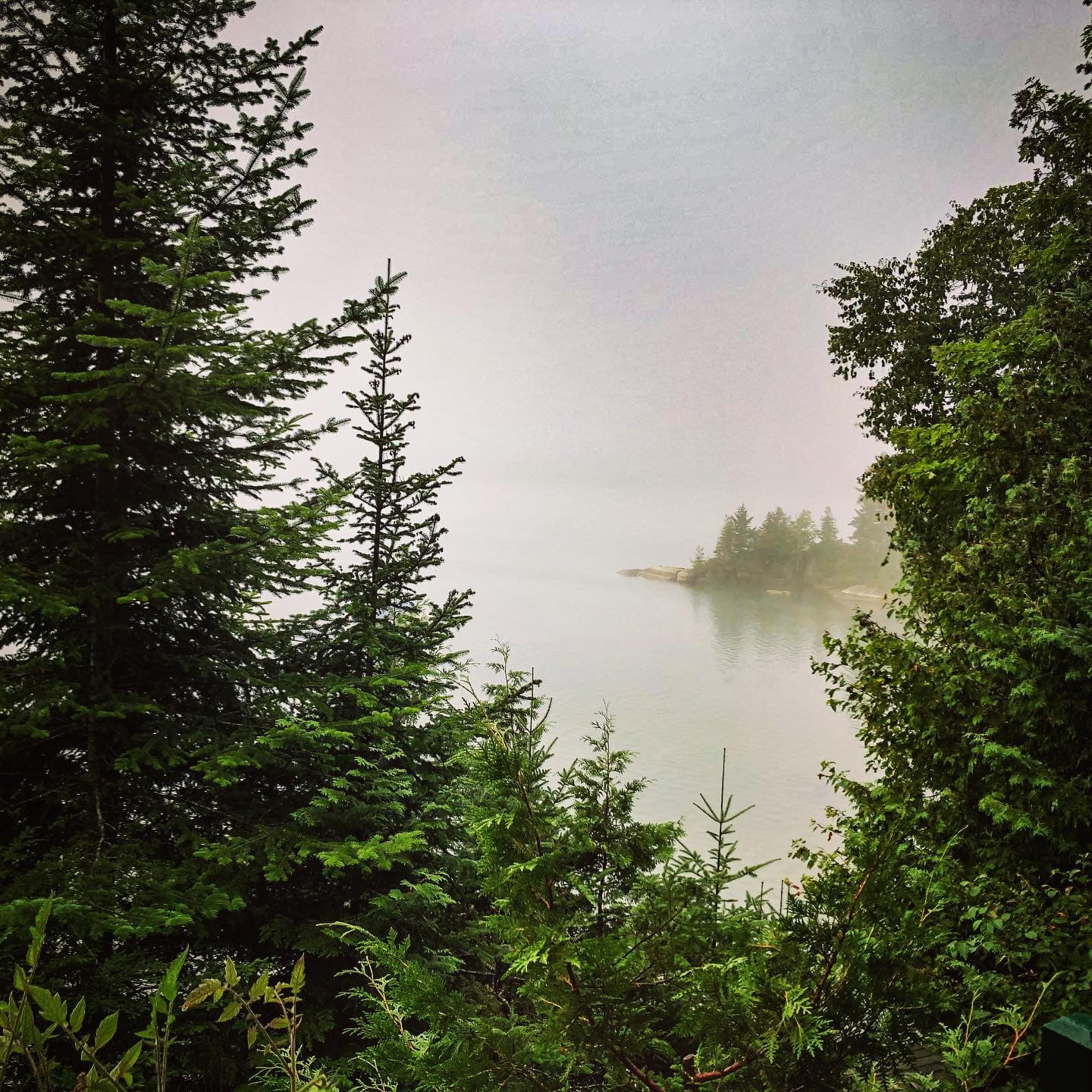 Foggy Rocks